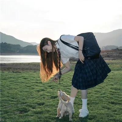 妖精森林的小不点